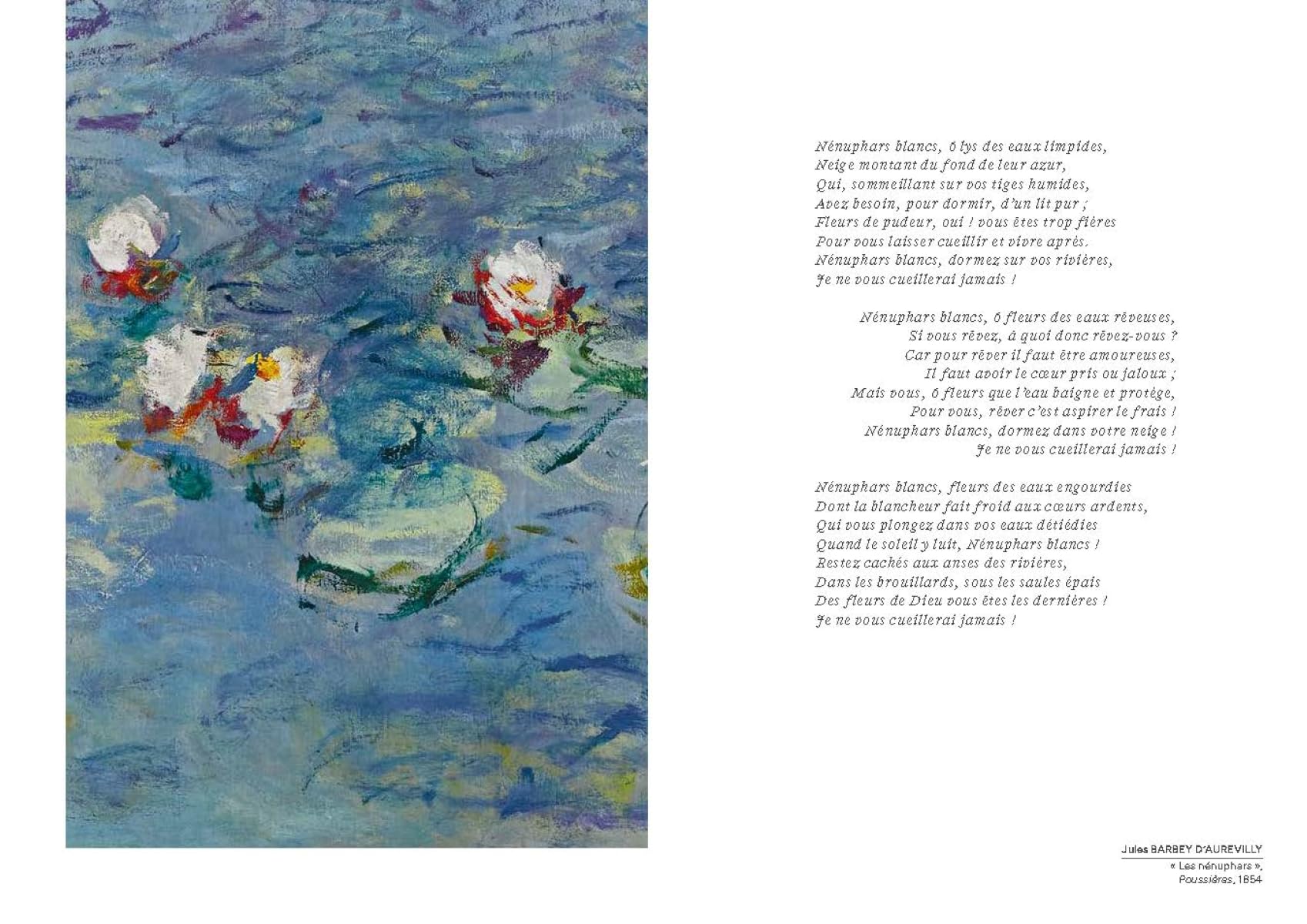 L'écho des Nymphéas