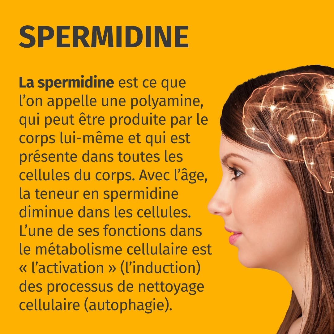 Spermidine Forte – Hautement dosé : 6 mg par capsule d'extrait de germe de blé – Testé en laboratoire – 120 gélules Green Naturals®