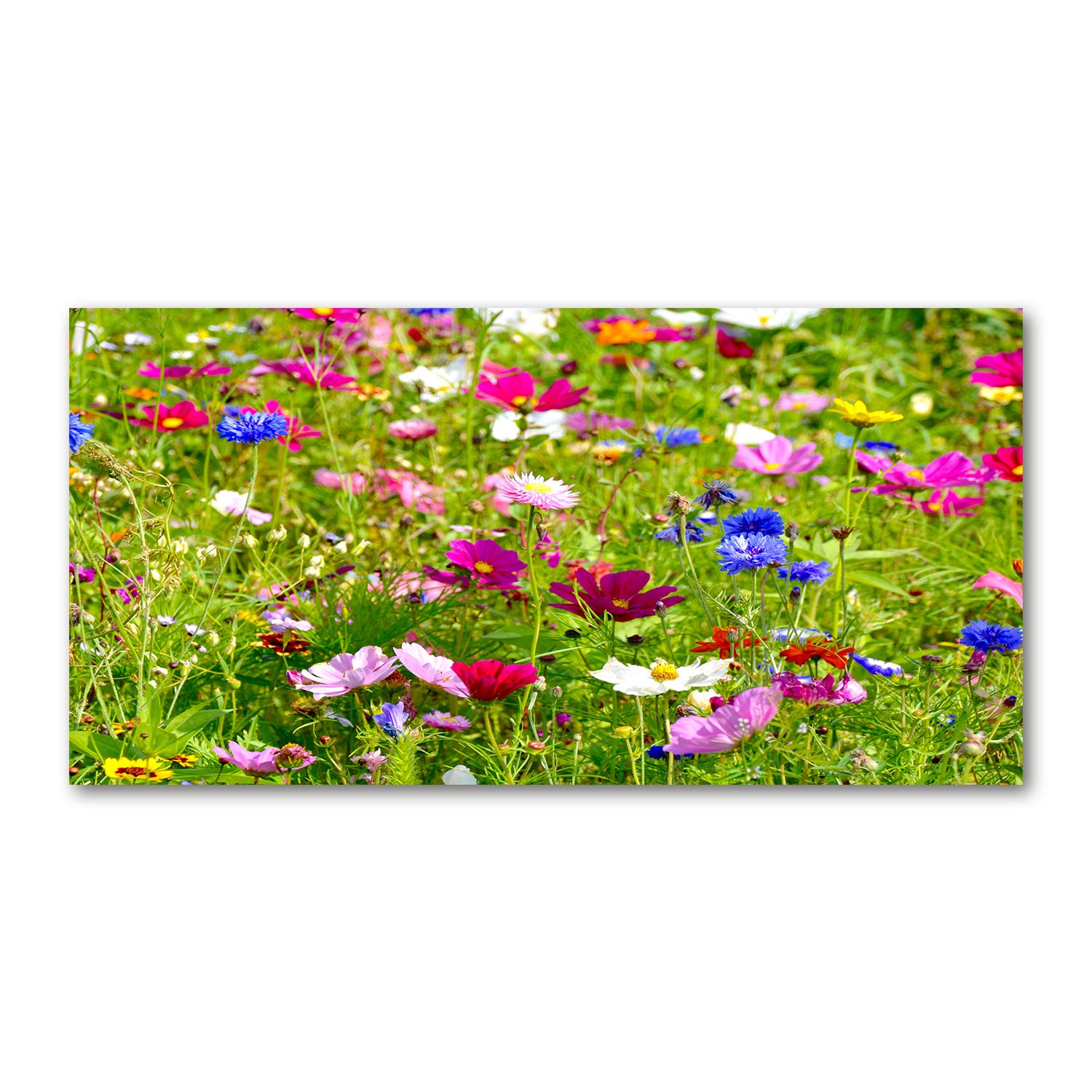 Tableau en verre acrylique 120x60cm fleurs sauvages pour décoration murale moderne du salon