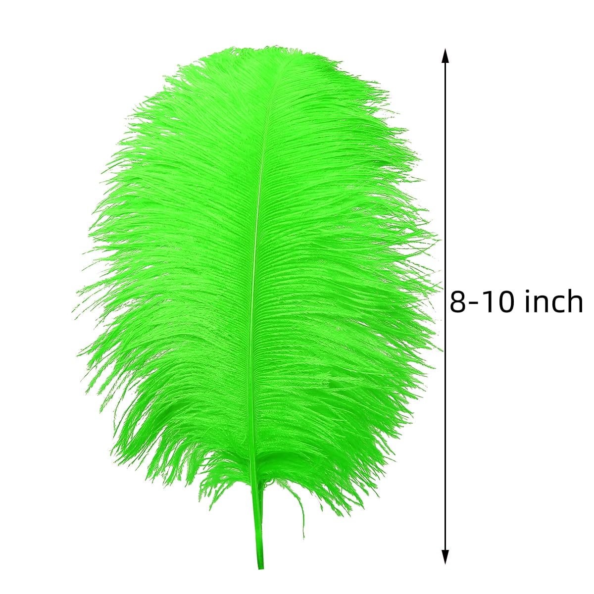 Amazon.com: Ballinger Lime Green Ostrich Feathers - 24Pcs 8 
