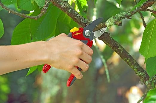 Faites le choix de la qualité avec Outils Wolf