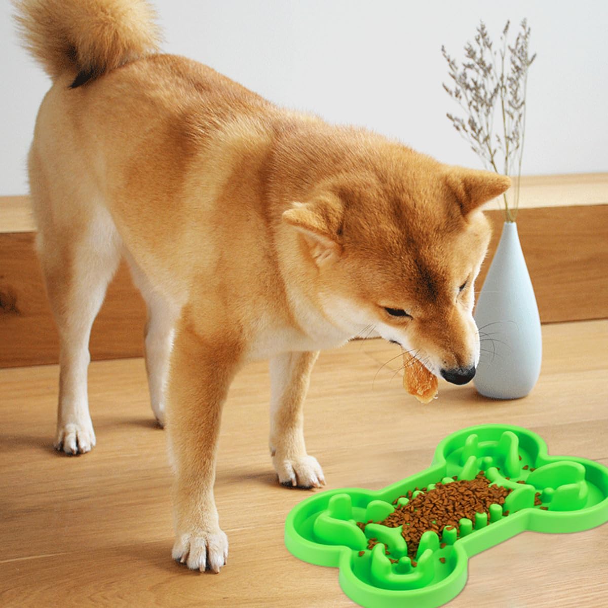 Ciotola Rialzata Anti-Ingozzamento in Silicone per Cani e Cuccioli