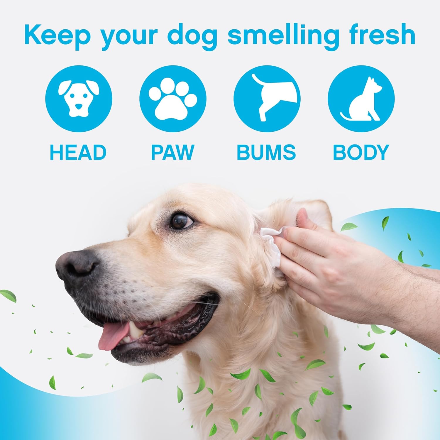 NonScents Refrigerator Deodorizer (4-Count) & Dog Grooming Wipes (75-Pack) - Ultimate Odor Control Bundle - Fragrance-Free, Long-Lasting Freshness for Your Fridge & Pet Care