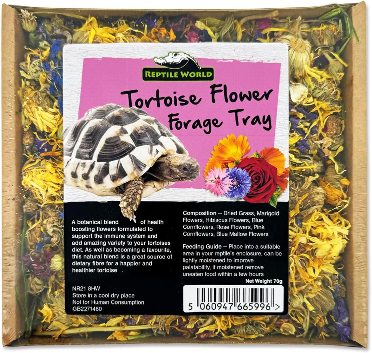 Reptile World Forage Tray, 100 Natural botanical enrichment for Tortoises Healthy Tortoise