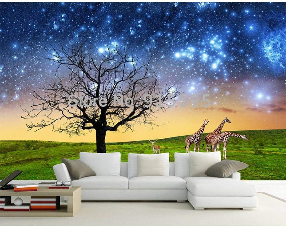 Papier peint ciel nocturne 3D pour agrandir un salon sombre et masquer un grand mur blanc