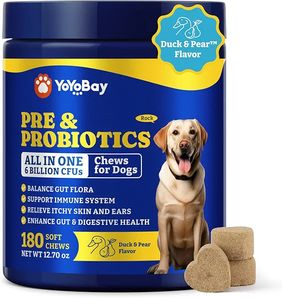 Probiotics for Dogs - Dog Probiotics for Digestive Health, Yeast, Itchy Skin, Gut Health, Immune & Skin - 6 Billion CFUs, 180 Soft Chews, Duck & Pear Flavor - with Prebiotics & Digestive Enzymes