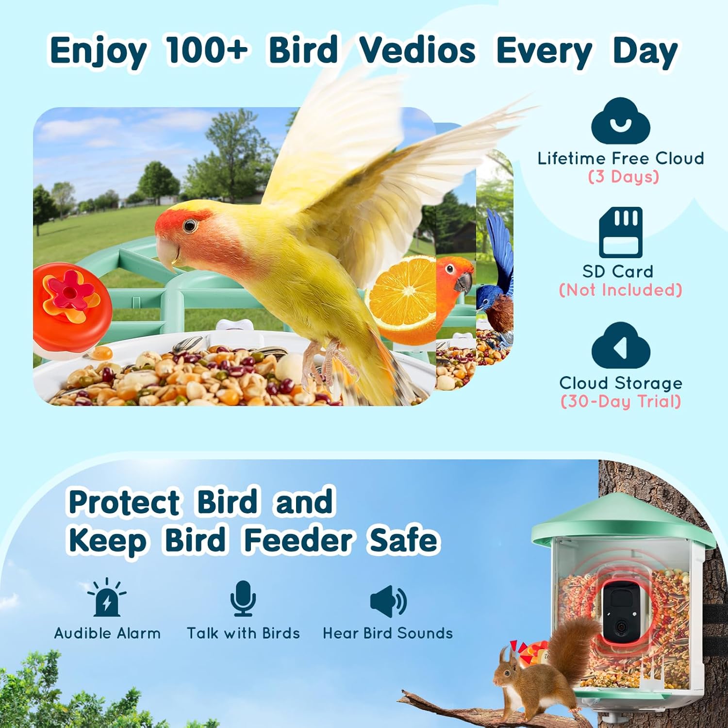 Image showing cloud storage options for bird videos: Lifetime Free Cloud (3 days), SD Card (Not Included), and Cloud Storage (30-day trial).