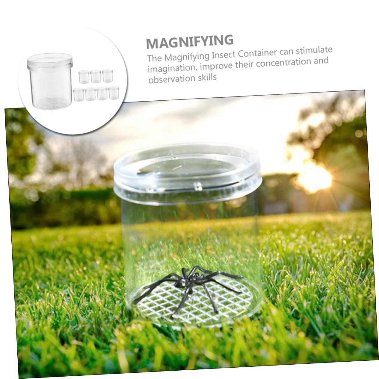 Lot de 8 Boîtes Loupe pour Insectes Garçon et Filles Petit Format Observation Précise Extérieur Apprentissage Scientifique Exploration Naturelle