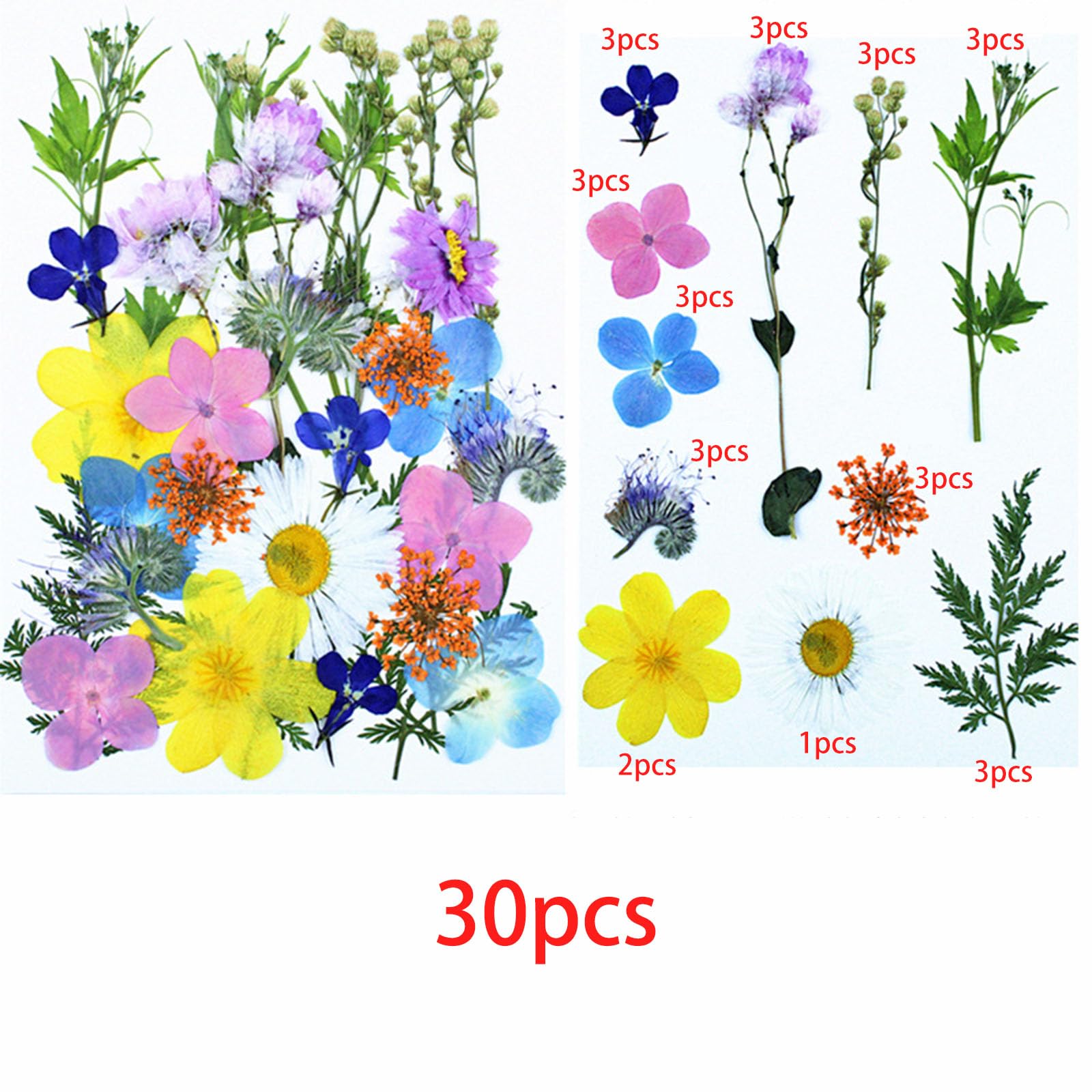 Cayway 4 Pack Pressed Flowers Natural Dried Flowers Colorful Resin Flowers Real Pressed Flowers for Resin Scrapbook DIY Art Crafts Epoxy Resin Jewelry - Image 2