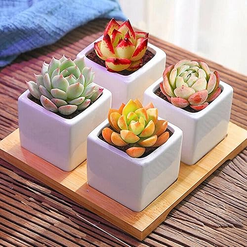 Miniatura 2 de pulunto Molde de silicona para maceta, para plantas suculentas de cemento geométrico, molde de hormigón, molde de resina hecho a mano, suministros