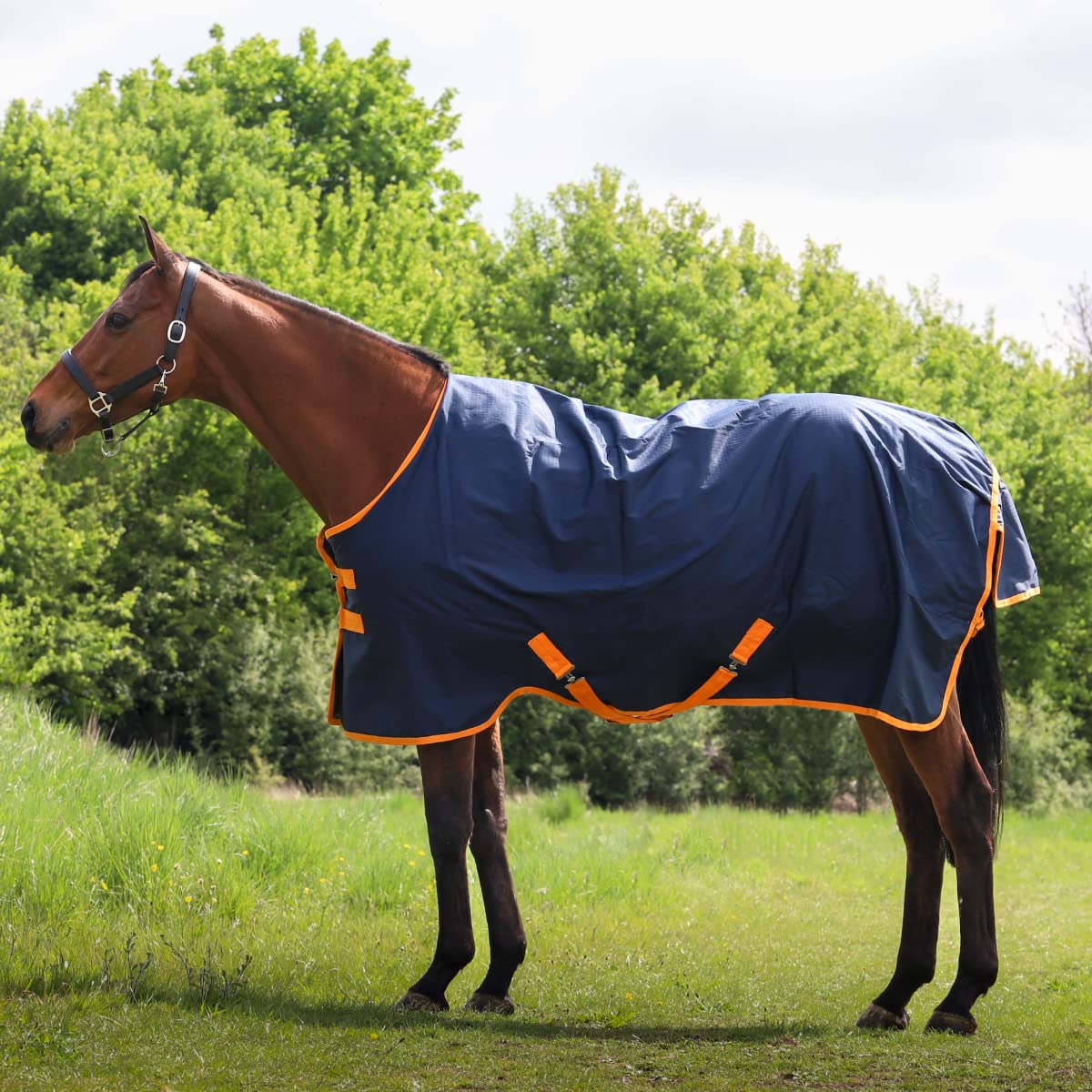 GS Equestrian 600D 0g Fill Waterproof Turnout Rug GSE425 (7'0, Navy/Orange Trim)