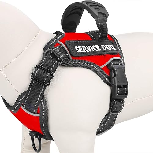 kong waste bag harness amazon