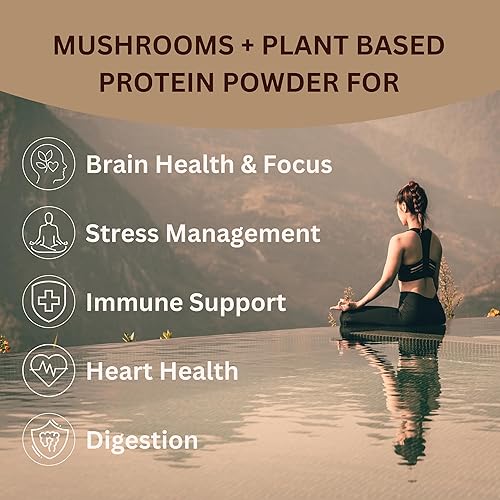 Miniatura 3 de ChagaRoot Mycoprotein Mushroom Protein Powder, Chocolate Flavor, 20g Plant Based Protein per Serving, Reishi, Chaga, Lions Mane, Shiitake, Turkey
