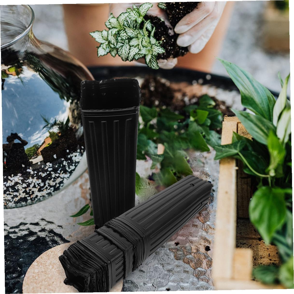 50pcs Black Thickened Nursery Plant Grow Bags 9x29cm Long Seedling Pots for Orange Citrus Gardening Supplies and Plant Nursery