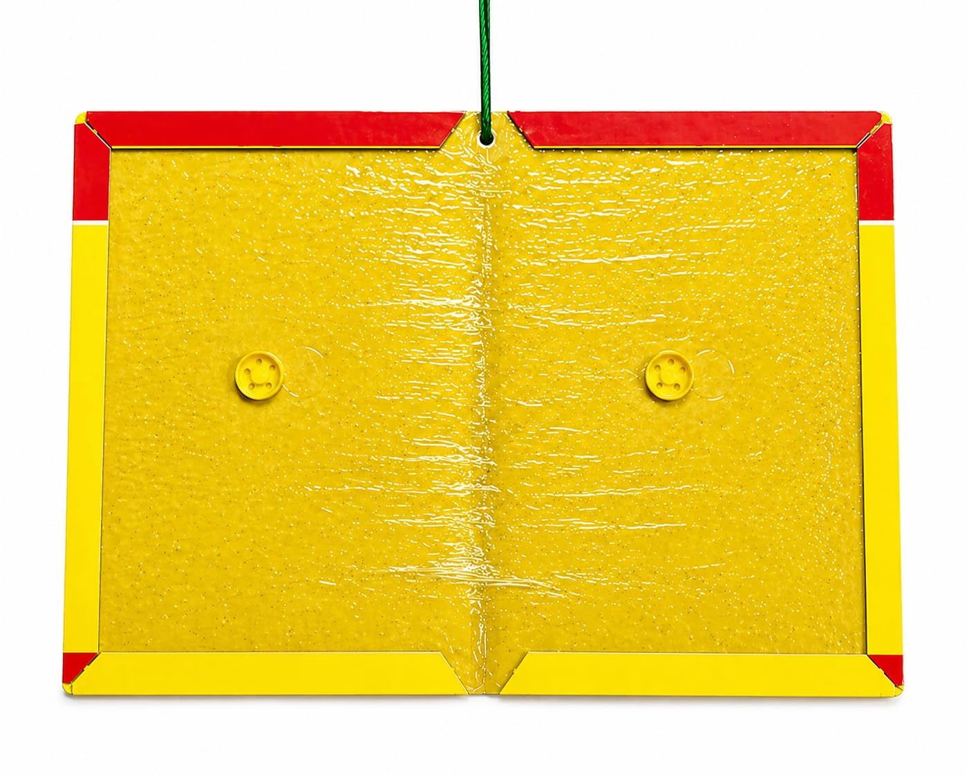 Sticky Insect Trap Yellow 6.5 x 8 Inch Large Size, Double Sided Sticky Bug Trap for Fruit Flies, Fungus Gnats, Whiteflies, Aphids & Flying Insects,(Design May Vary) (Pack of 1)-image-5