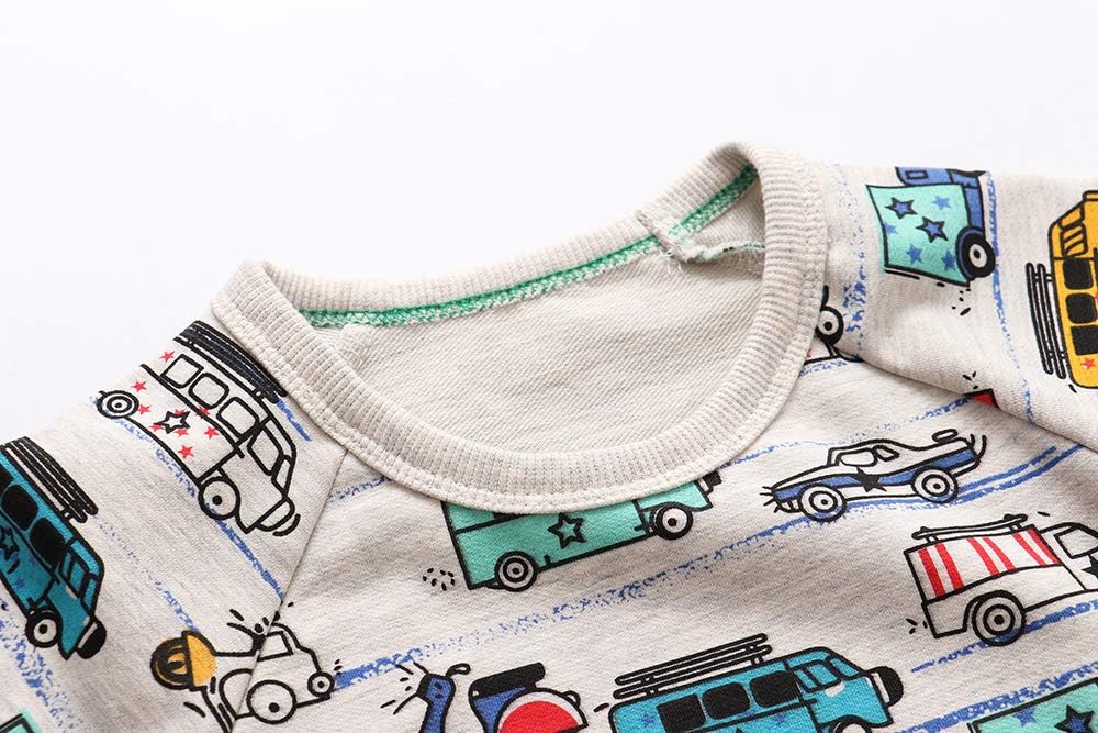 AIWUHE Toddler Boys Girls Sweatshirt Crewneck Pullover Long Sleeve Tops Blouse Cotton T-Shirt Fall Winter Clothes 2-6Y - Image 4