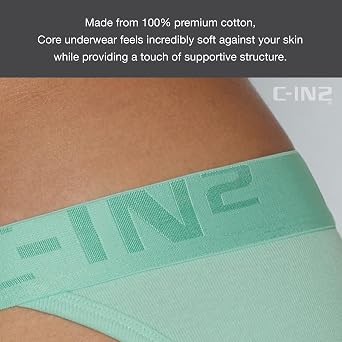 C-IN2 Core Dash Brief