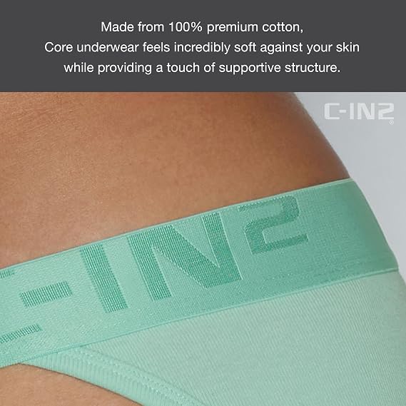 C-IN2 Core Dash Brief