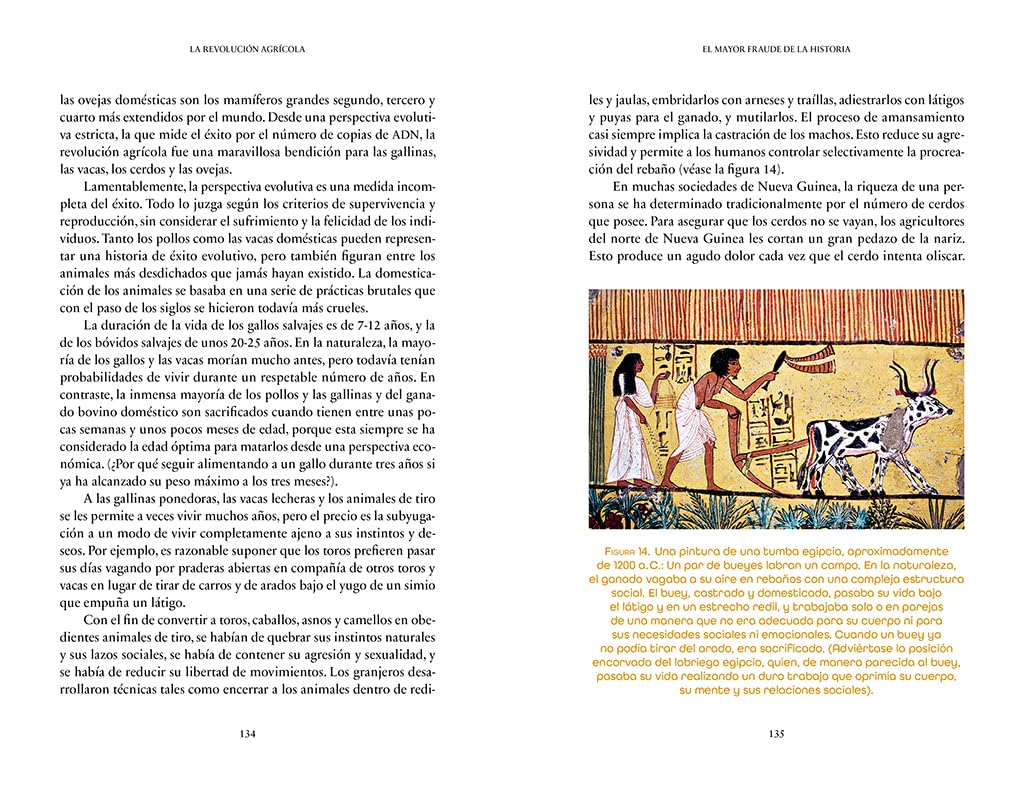 Sapiens. De animales a dioses (edición especial 10º aniversario): Breve historia de la humanidad