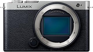 パナソニック(Panasonic) フルサイズ ミラーレス一眼カメラ ルミックス S9-S ボディ ダークシルバー DC-S9-S