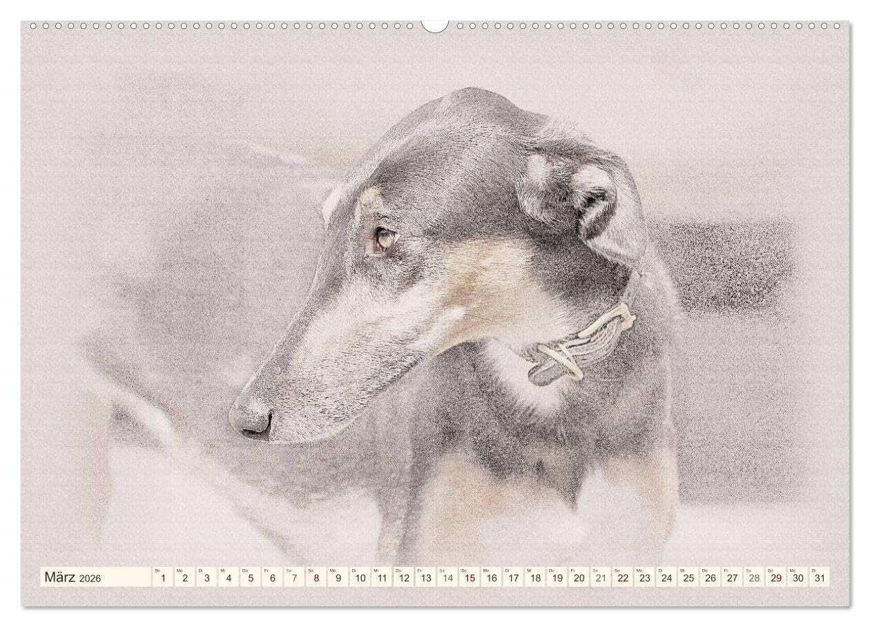 Windhunde 2026 (Wandkalender 2026 DIN A2 quer), CALVENDO Monatskalender: Windhunde - Wunderschön gestalteter Kalender. Jedes Monatsmotiv gleicht einem kleinen Kunstwerk. (CALVENDO Tiere)
