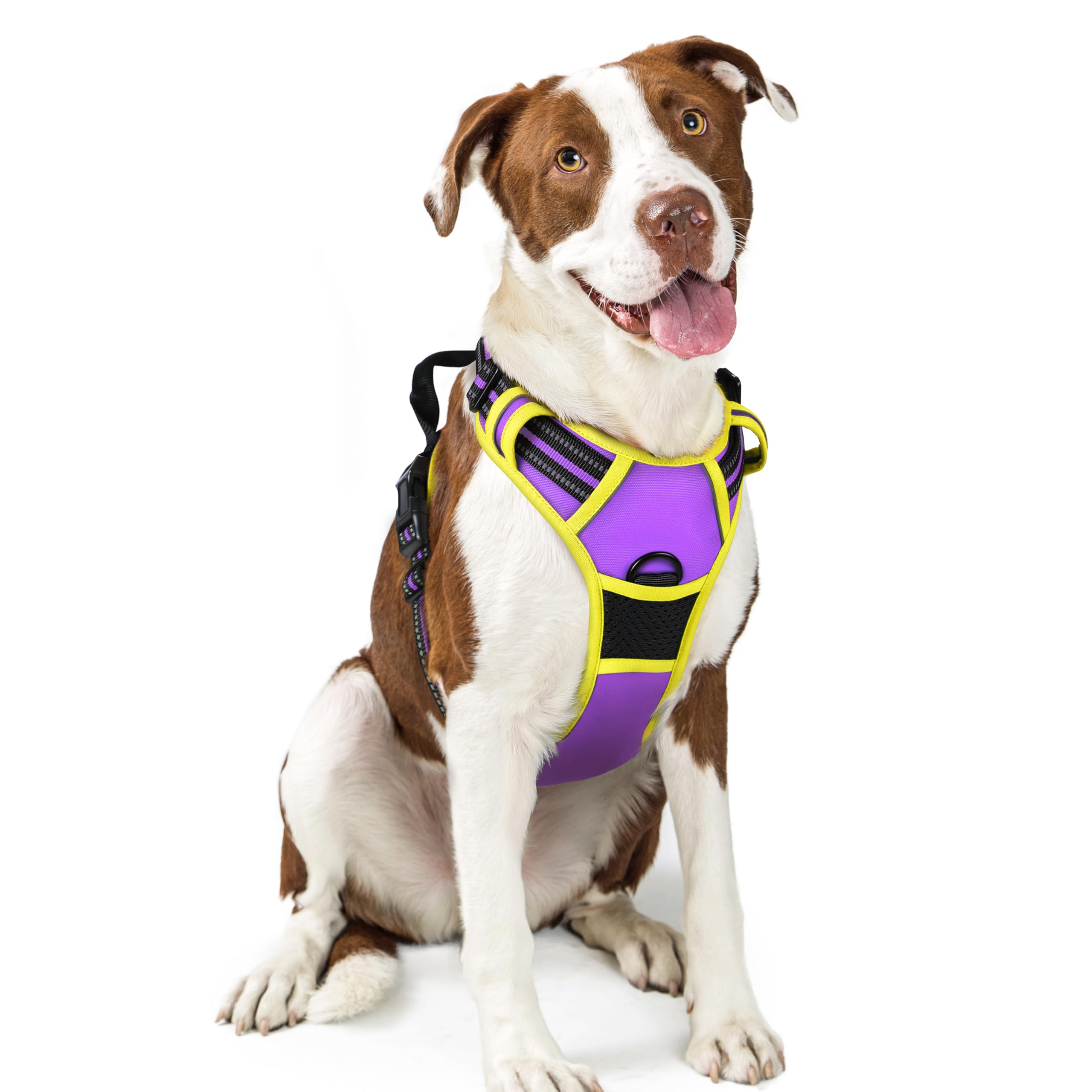rabbitgoo Dog Harness No Pull with 2 Leash Clips, Adjustable Soft Padded, Reflective Oxford No Choke Pet Vest with Easy Control Handle for Large Dogs,