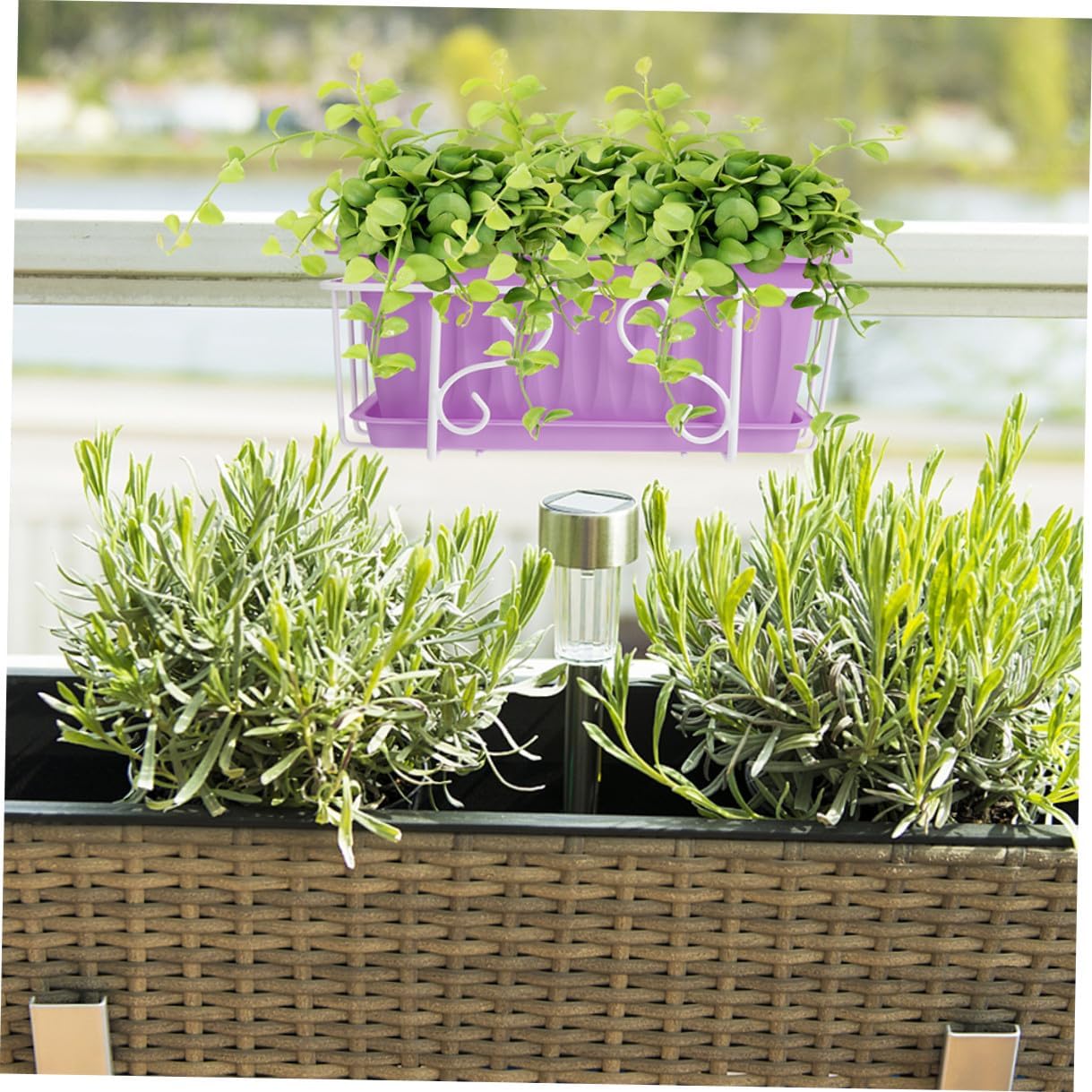 Ciieeo Rectangular Hanging Planter Pot with Tray for Vegetables and Flowers, Medium Purple Resin Window Box Planter for Indoor and Outdoor Gardening