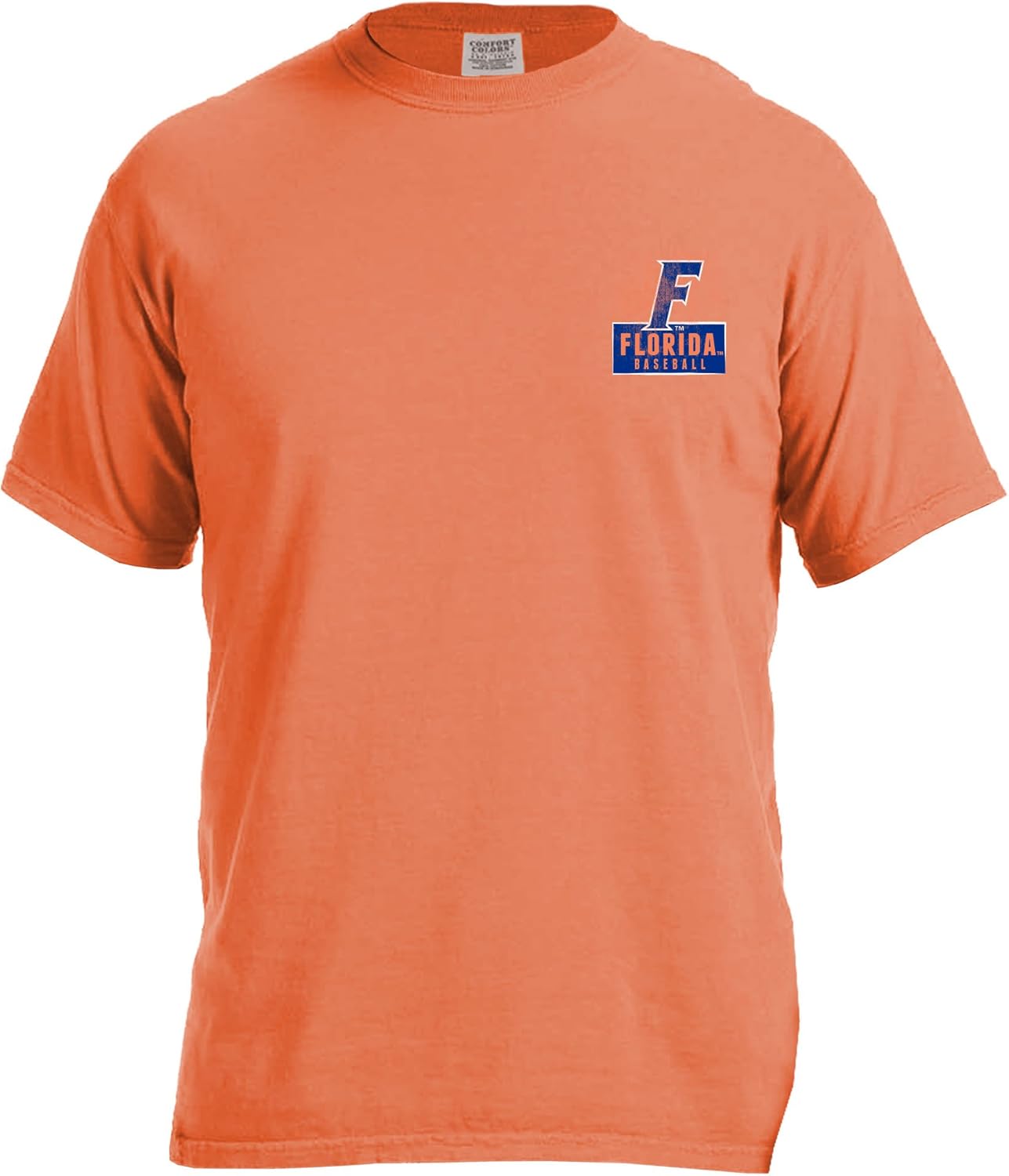 Image One Adult Unisex's NCAA Vintage Baseball Flag Short Sleeve Comfort Color Tee