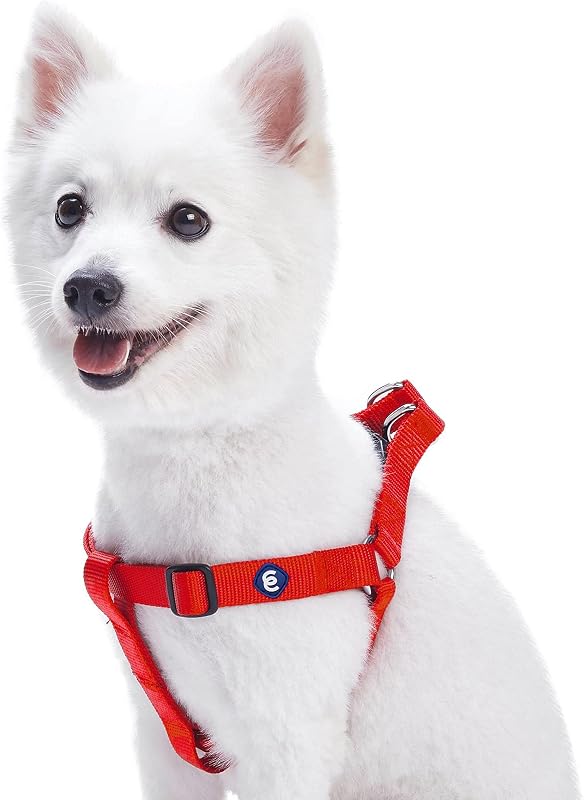 Arnés para perros grande Blueberry Pet Essentials | Arnés ajustable clásico de nailon sólido sin tirones, fácil de caminar | rojo rojo
