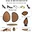 Non-Slip Shoes Pads Sole Protectors Adhesive, High Heels Anti-Slip Shoe Grips(Brown 4pairs)