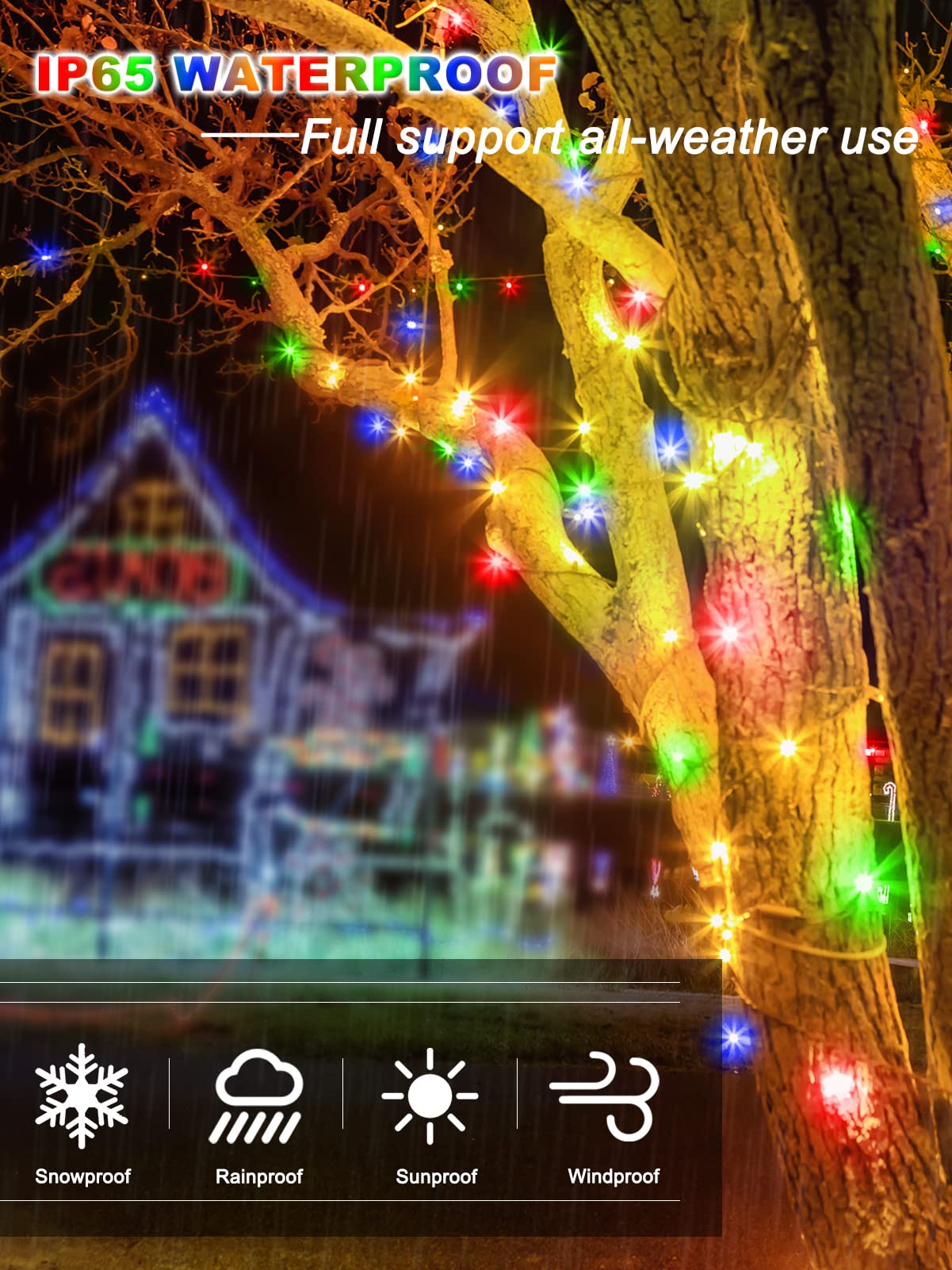 View 5