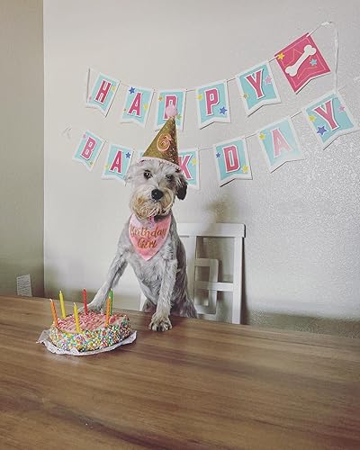 Miniatura 6 de Bandana de cumpleaños para perro, suministros de fiesta de cumpleaños para niñas, bandana para perros pequeños y medianos