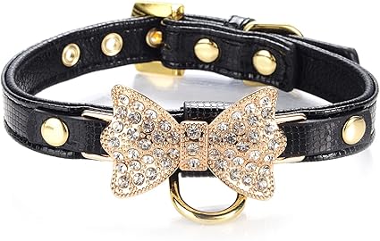 diamond dog collar amazon