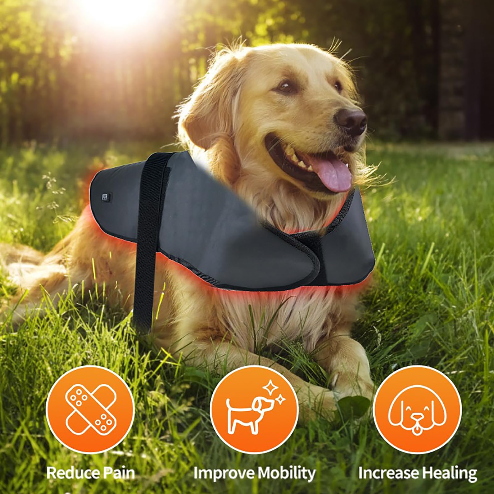 Dispositivo de Terapia física con luz roja, Terapia de luz roja de Doble Longitud de Onda 660/850 NM, Dispositivo de Terapia roja/infrarroja para Mascotas, con 272 LED