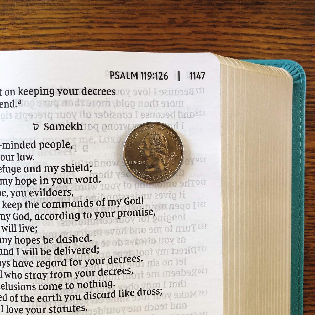 NIV, Giant Print Compact Bible, Leathersoft, Teal, Red Letter, Comfort Print