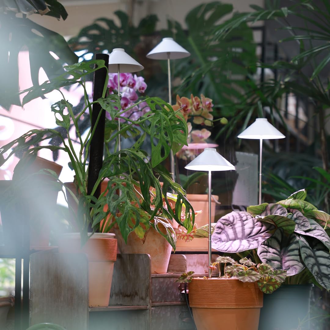 MiniSun - Luz LED para cultivo de plantas de interior de espectro completo, soporte ajustable en altura, alimentado por USB, 5 V de bajo voltaje, paquete de 2
