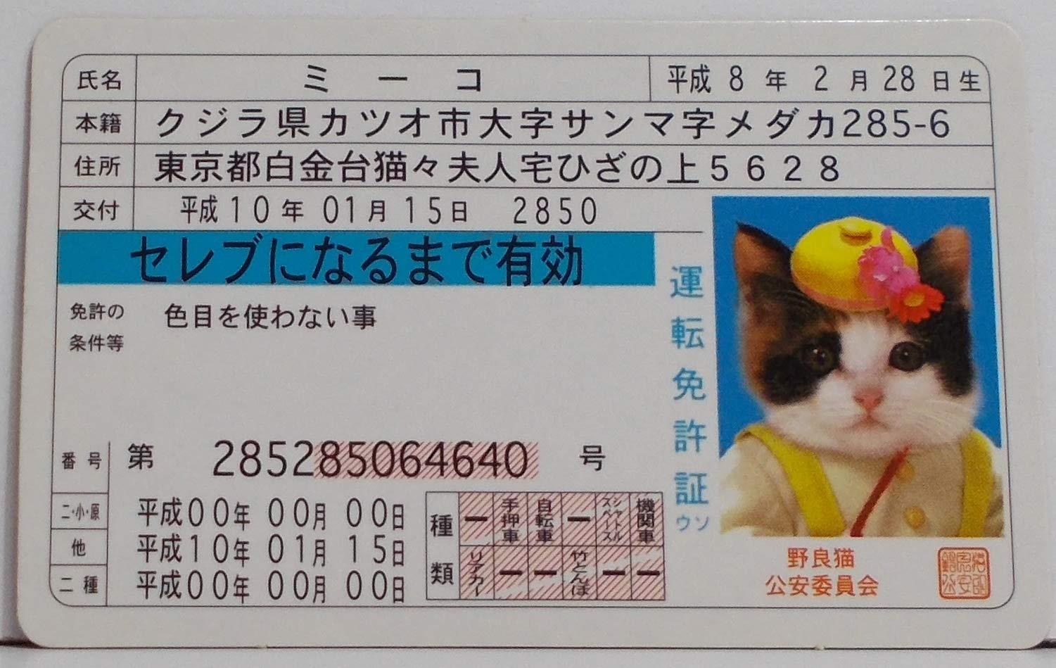 Amazon.co.jp: 【平成8年生まれ】ミーコ(なめねこ カード免許証 Amazon.co.jp: 【平成8年生まれ】ミーコ(なめねこ カード免許証