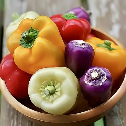 Amazon Co Jp ウクレレ園芸shop カラフルパプリカ 種子0 5 約25粒 330円 赤 黄 紫 白 茶色 計5色 カラフルピーマンミックス パプリカの種 ガーデニング 家庭菜園 観葉植物 希少野菜 Vegetable Seeds Diy 工具 ガーデン
