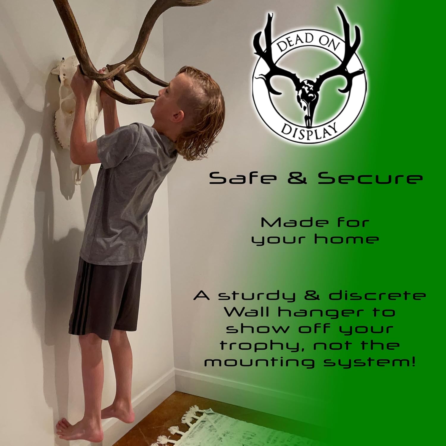 DEAD ON DISPLAY European Skull Hanger, Wall Mount for White Tail Deer, Mule Deer, Antelope, African Game, Bear, Exotics, Hog Taxidermy Trophy Mounting (Medium Skull Hanger)
