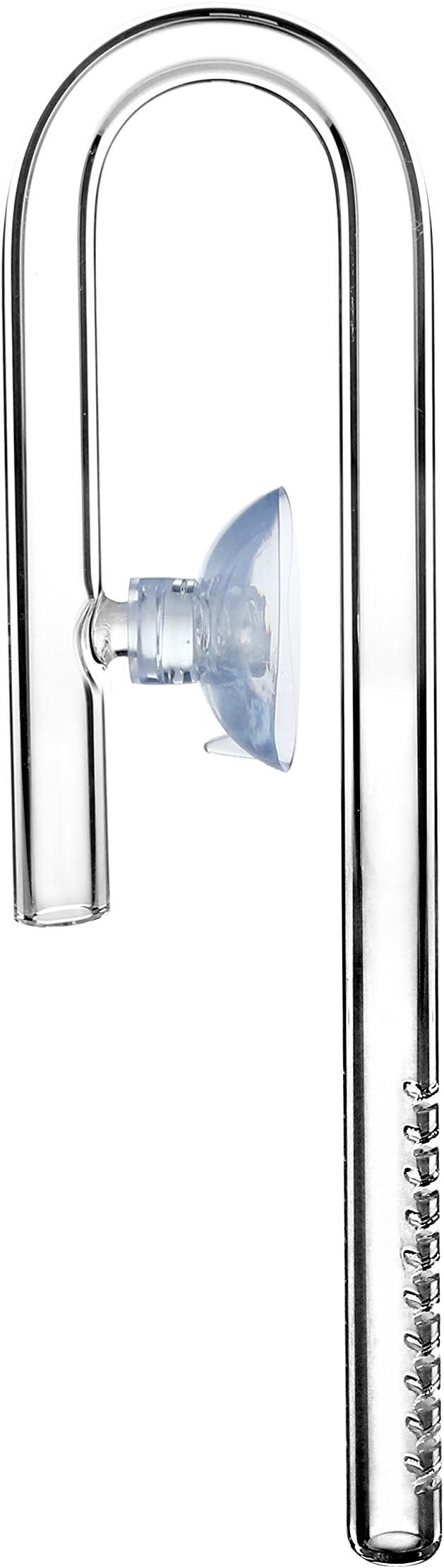 JARDLI Glass Inflow Aquarium Lily Pipe (10mm for 9/12mm tubing)