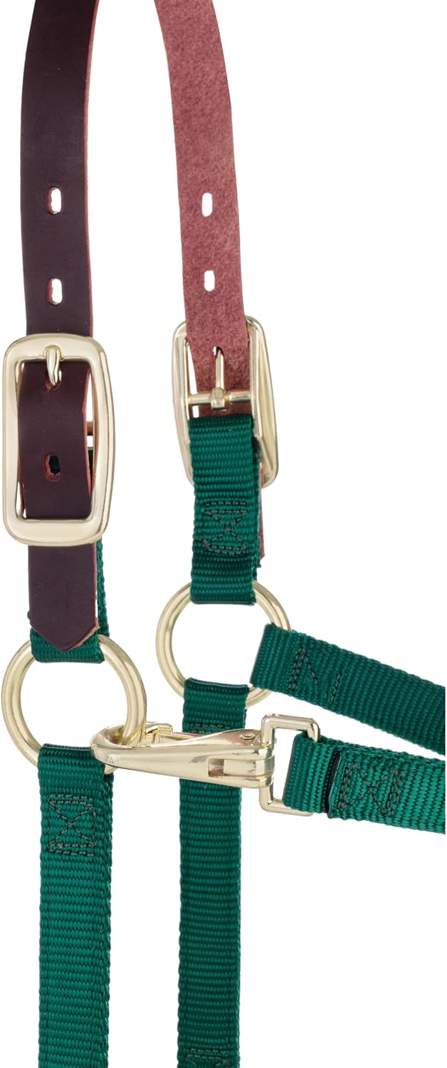 Weaver Leather Adjustable Breakaway Nylon Horse Halter