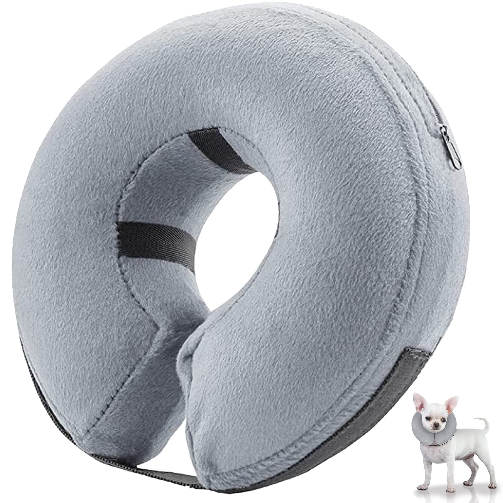 Can A Dog Sleep With A Cone