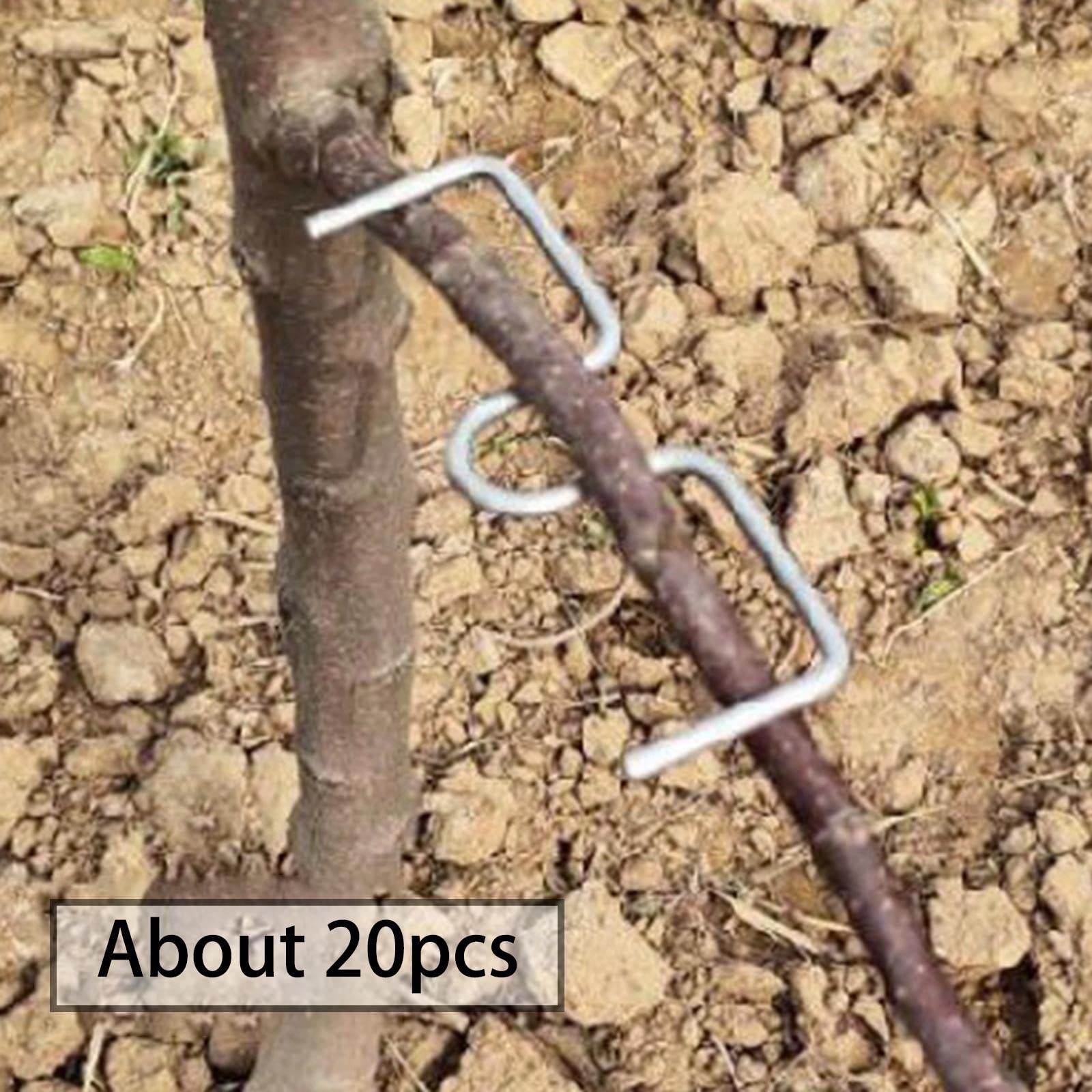 Epandeur de Branches, Plantes Tige Formateur, Arbre Branche Extracteur Fil D'acier Jardin Nouvelles Branches Croissance Formes Soutien Fruits, pour Soutenir La Croissance de Nouvelles Branches, M13cm