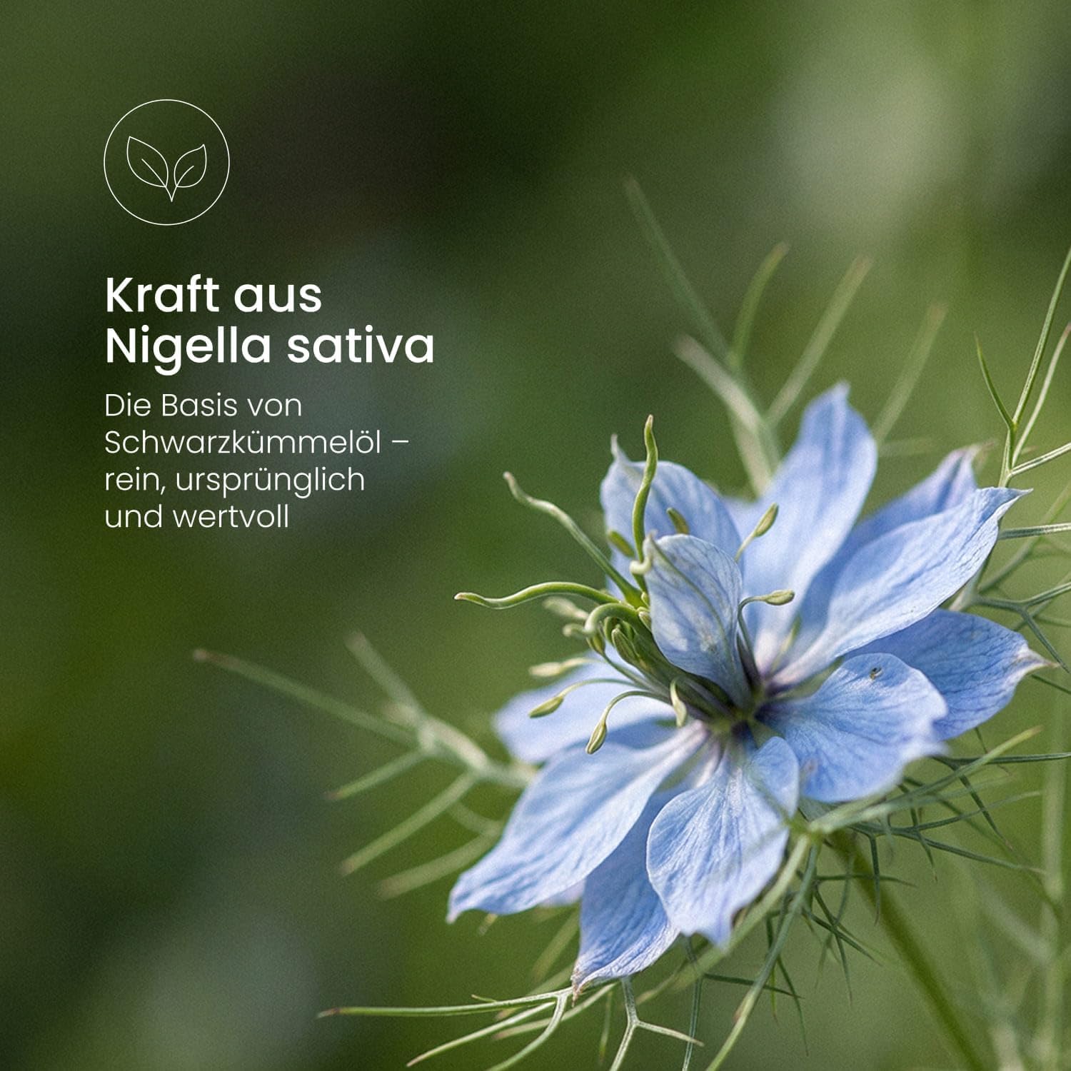 Nature Heart Schwarzkümmelöl 3 Stück – 180 Kapseln | 1500+ Thymochinongehalt, hochdosiert, kaltgepresst, vegan, ohne Zusatzstoffe