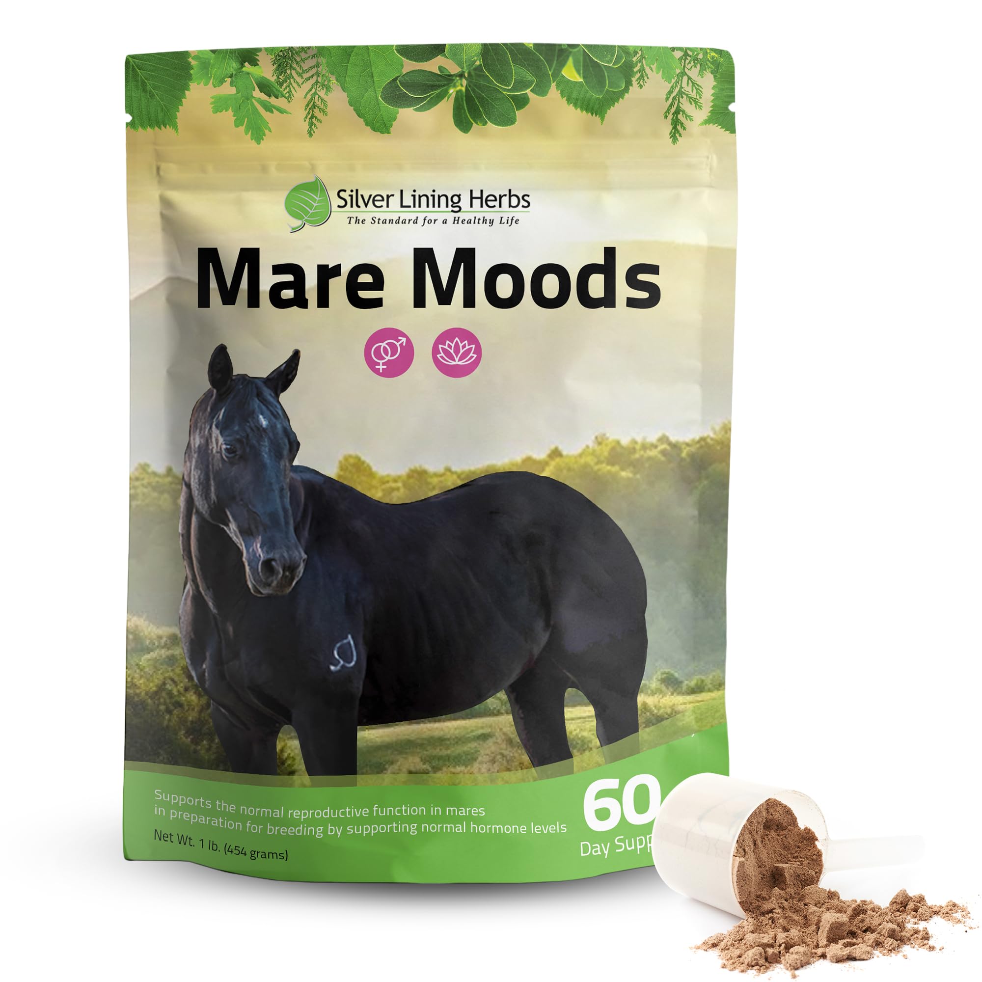 Silver Lining Herbs Mare Moods Horse Calming Supplement - Natural Hormone Balance & Calm for Horses - Herbal Horse Supplements for Mood & Reproductive Support - 1 lb 60-Day