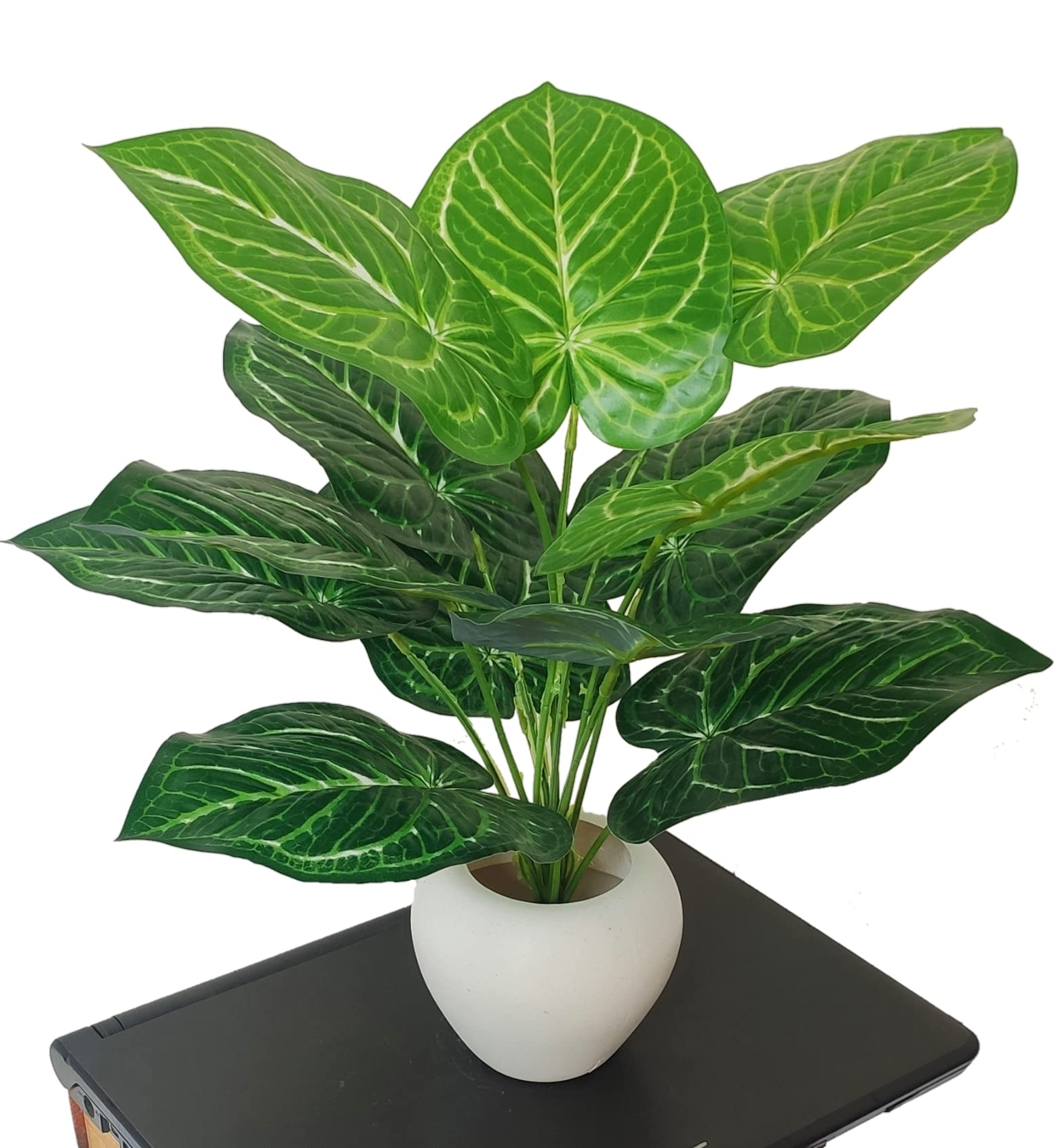 BAARIG Real Touch Money Plant with 12 Leaves Heads Artificial Plant with Pot (Green) (B0BMYWFKH5) Amazon Price History, Amazon Price Tracker