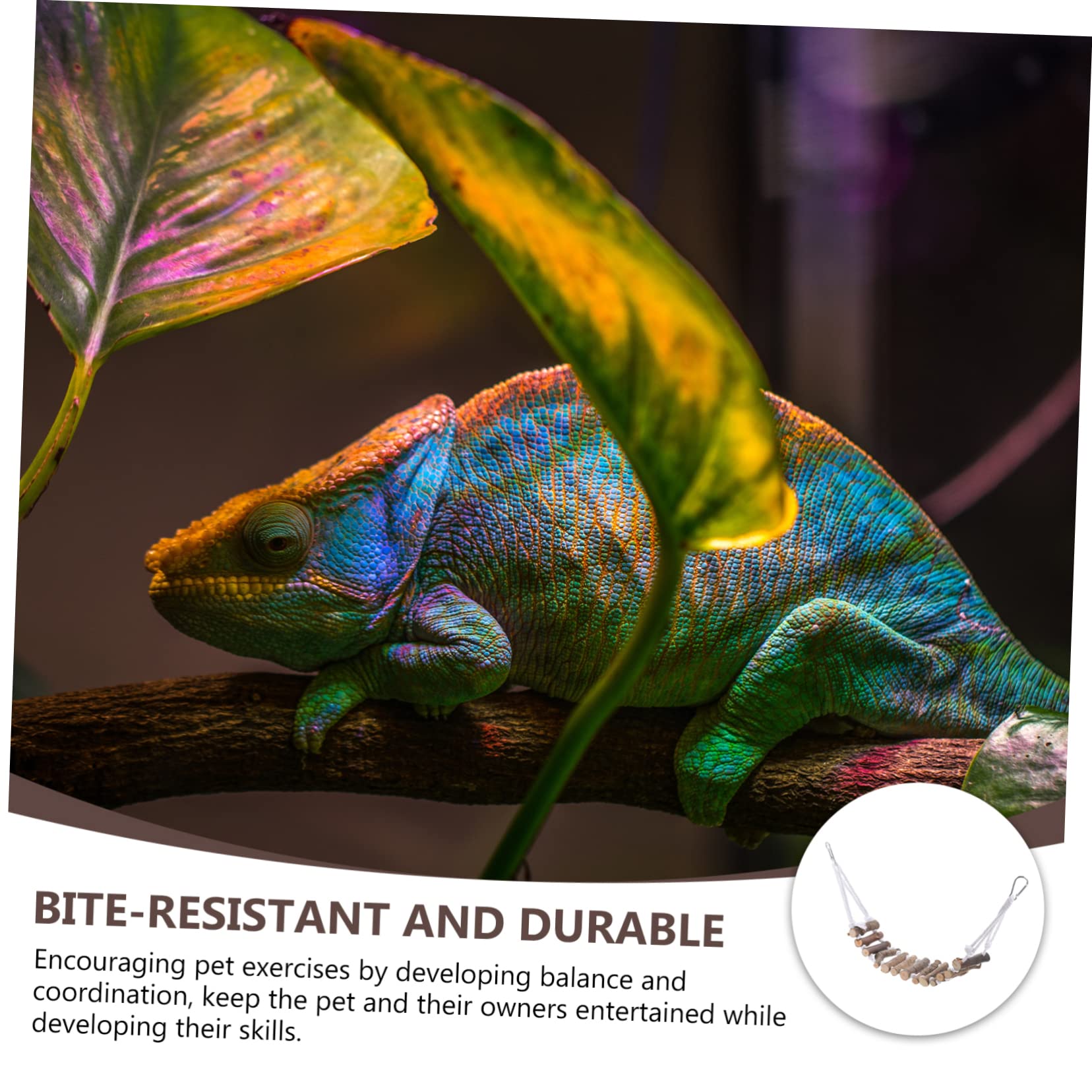 Amazon | PEPLAYTAL 木製 爬虫類用はしご 家用トカゲのはしご 吊り下げ