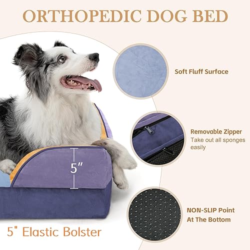Miniatura 545 de Comfort Expression - Cama ortopédica para perros extragrandes, 53 x 42 pulgadas, cama impermeable y de apoyo de espuma con cojines removibles, con