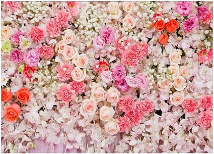 Amazon 写真撮影用背景布 撮影用 背景シート 壁紙 商品人物 撮影 ファンション撮影 誕生日パーティーの装飾 150cm 210cm 新生児 結婚式の写真 スタジオ小道具 Hq7 Sanpyl バックペーパー 背景布