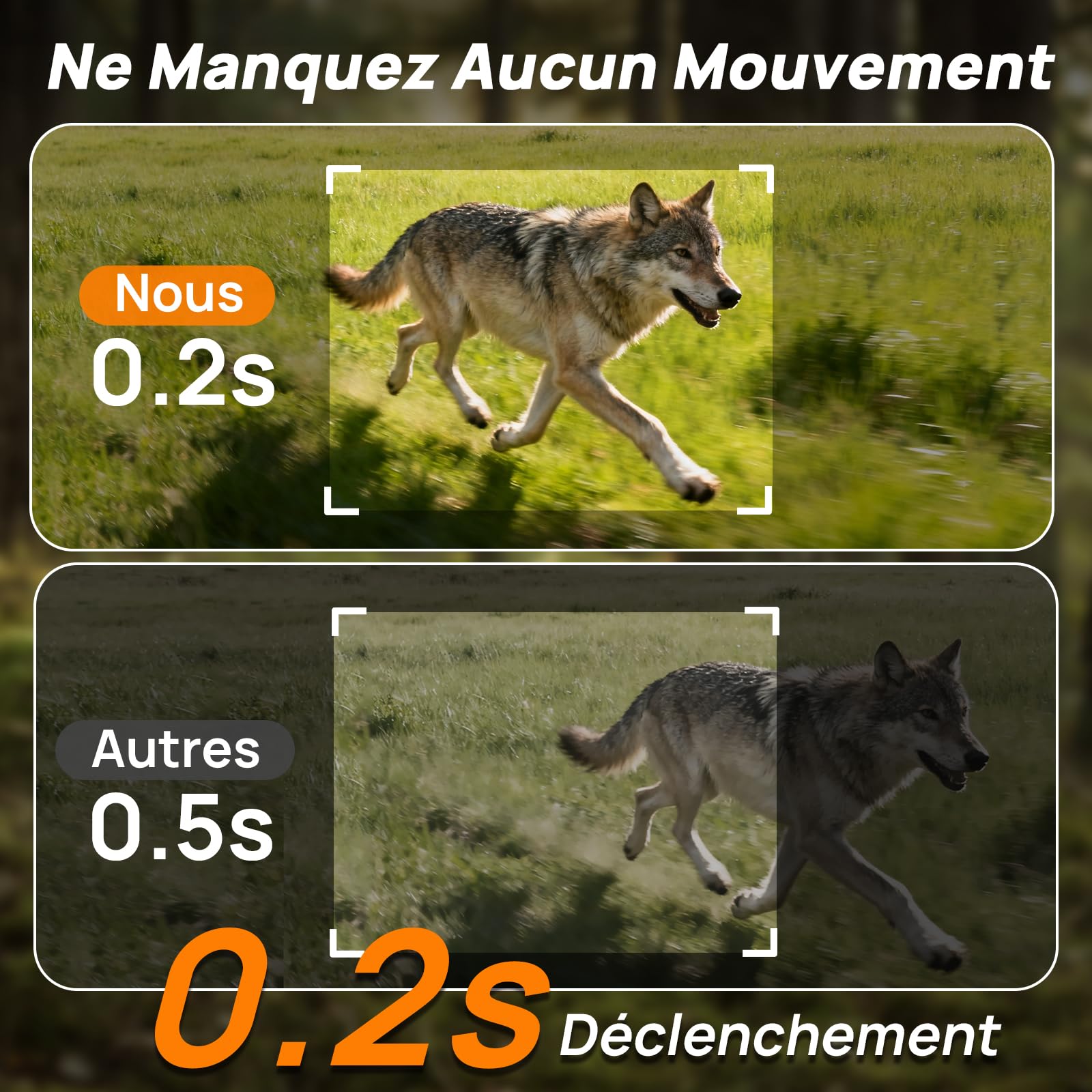 iZEEKER Caméra de Chasse Solaire 2 en 1 4G LTE et Standard, HD 48MP Caméra Chasse Vision Nocturne Détection de Mouvement, Contrôle Application sans WiFi Etanche IP66 avec Carte SIM & Carte TF 64 Go